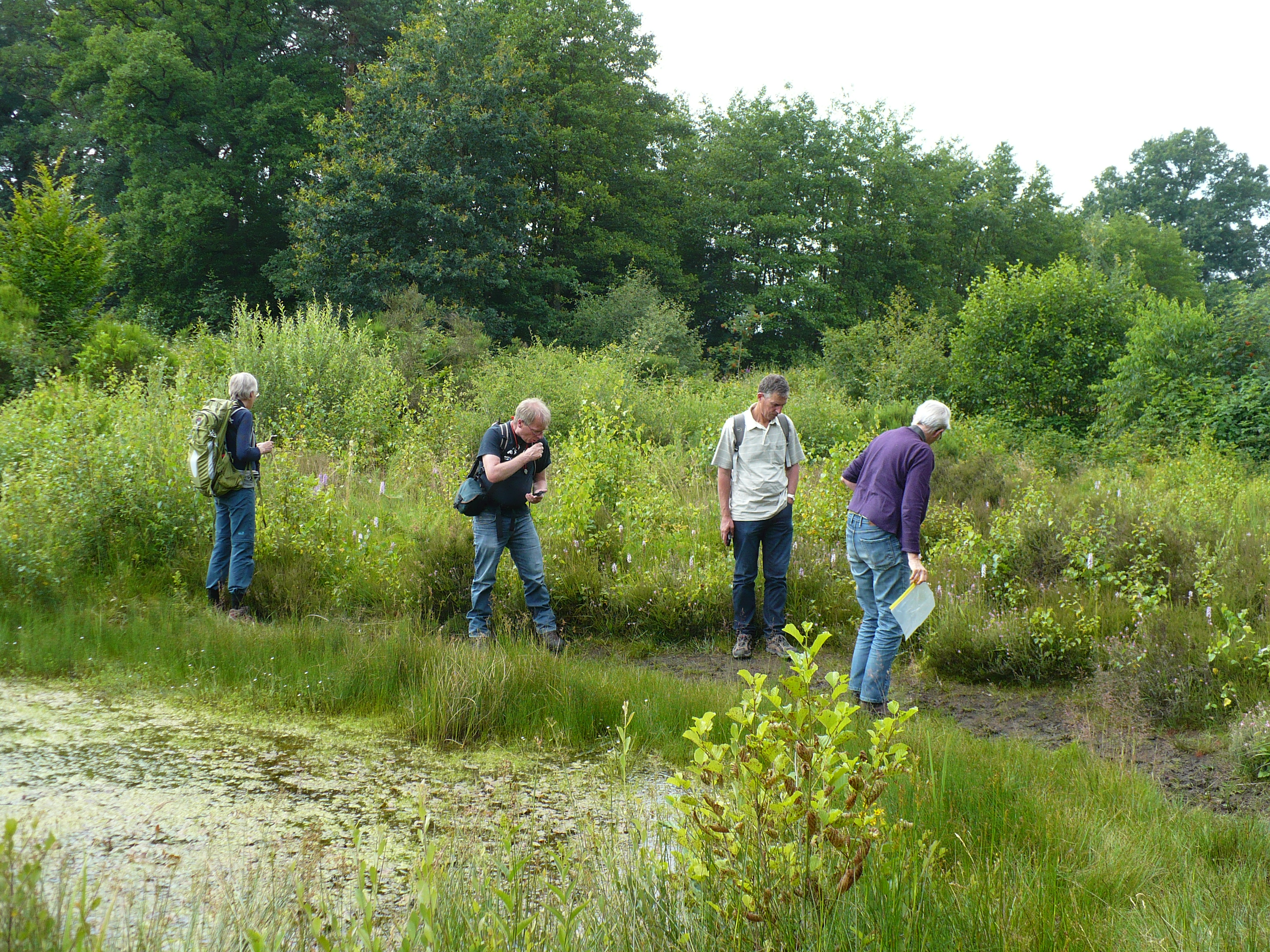 Get Zitsteen tuin For Free