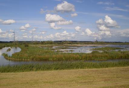 VWG Ochtendexcursie Harderbroek