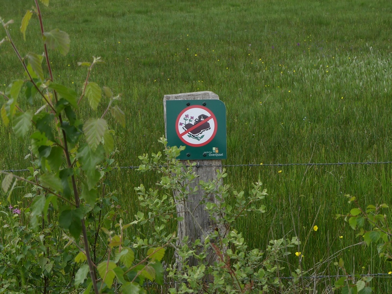 Twente, het Dal van de Mosbeek, 2016-5-28 82 verboden op plantjes te trappen