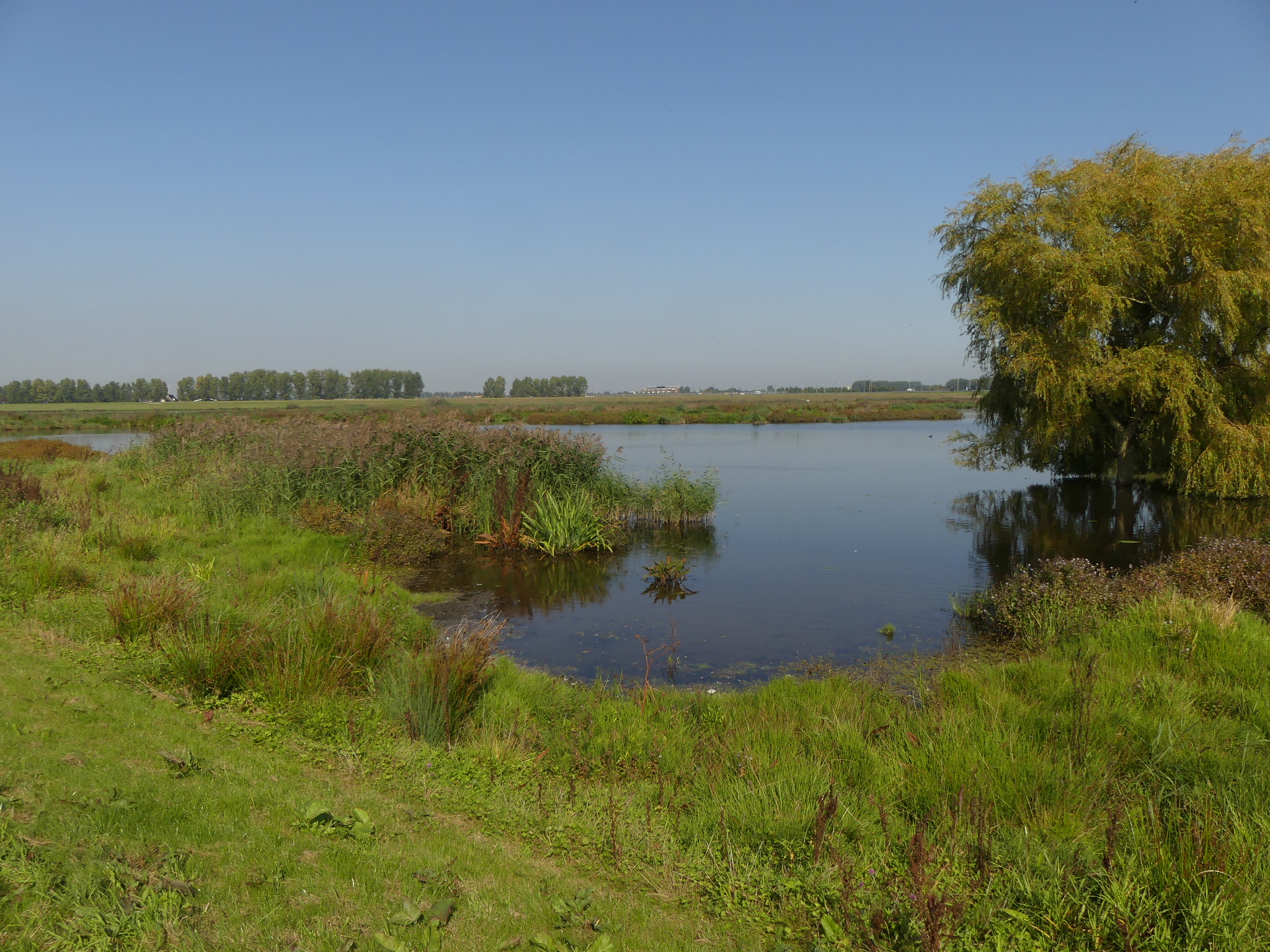Dagexcursie Lauwersmeer Groningen Friesland-vogelwerkgroep