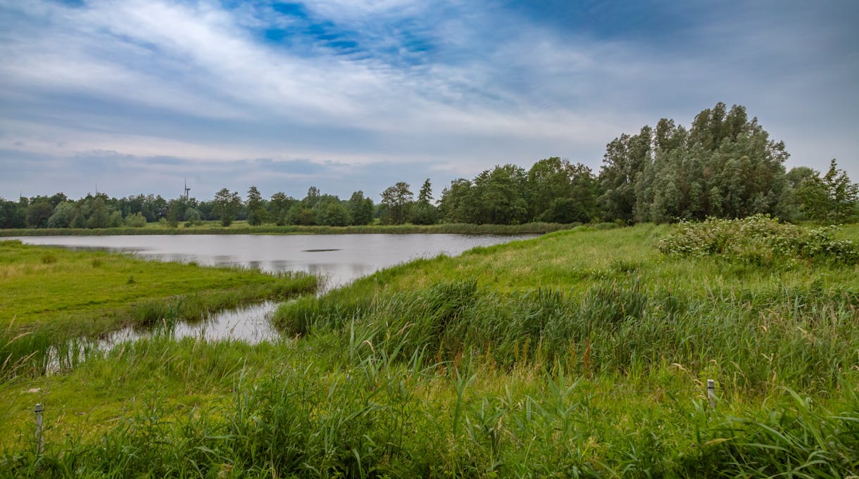 excursie vogelwerkgroep naar Kamperhoek en Oostvaardersplassen