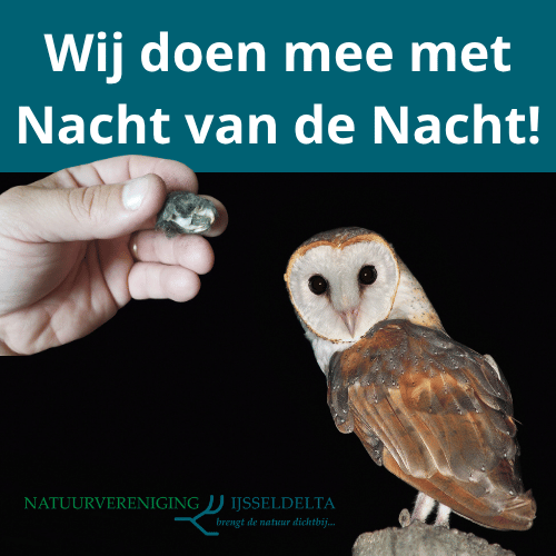 Uilenballen pluizen en zaklamp vissen tijdens de nacht van de nacht